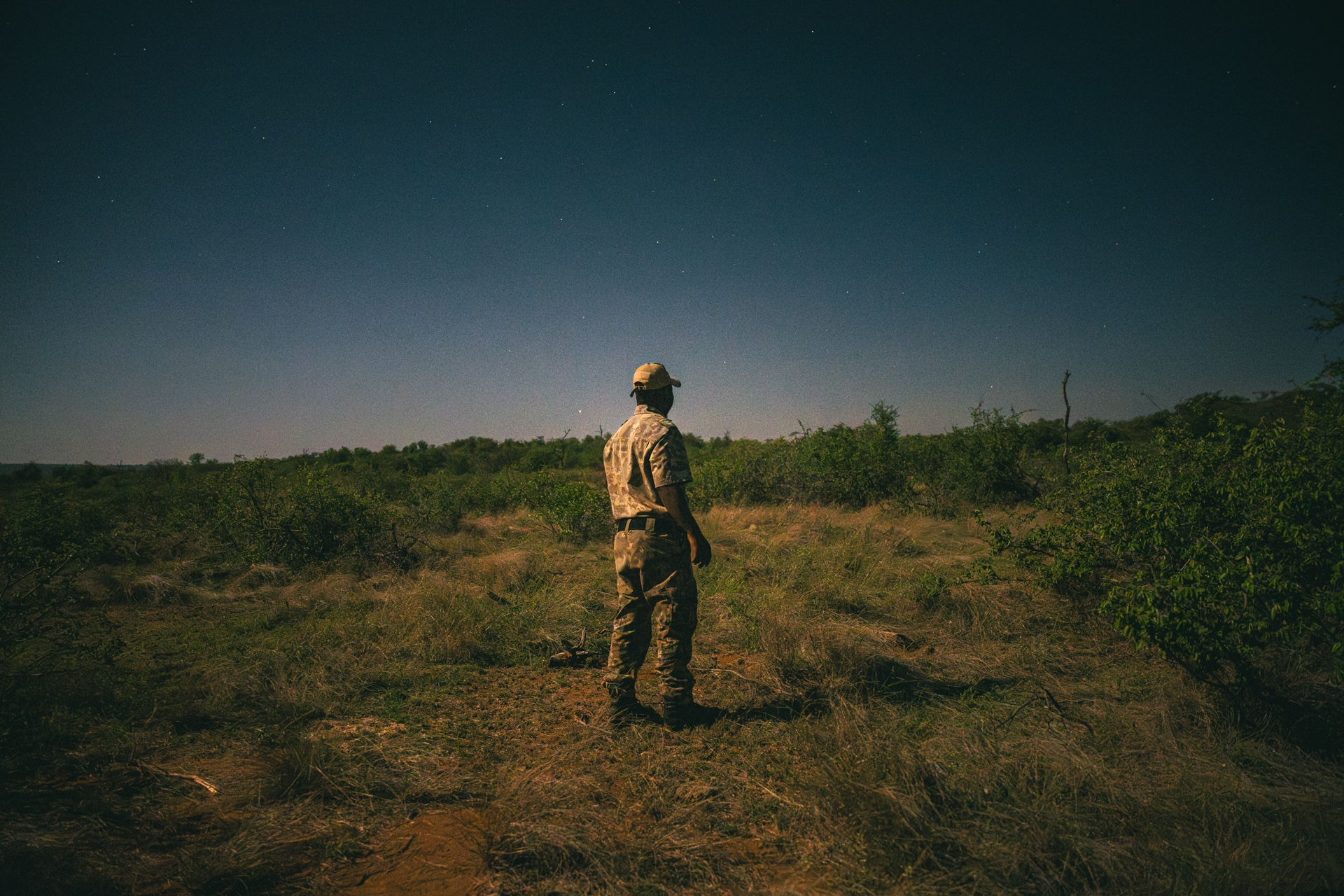 A man in camouflage standing with his back turned in a field of scrub, in the cold light of dusk.