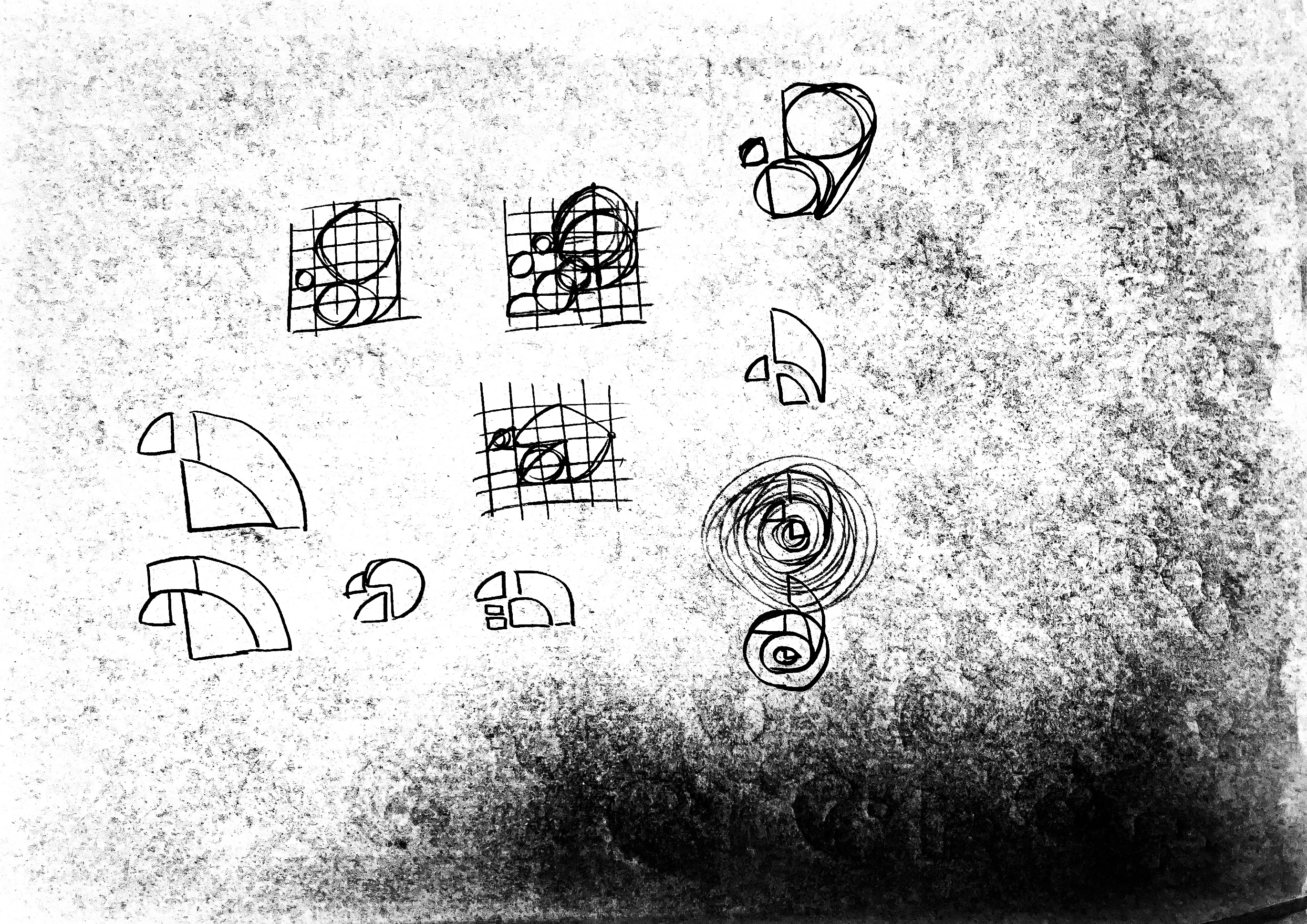 A sheet of pen studies: squirrel shapes built on squared grids, spirals and curls, on gray paper.